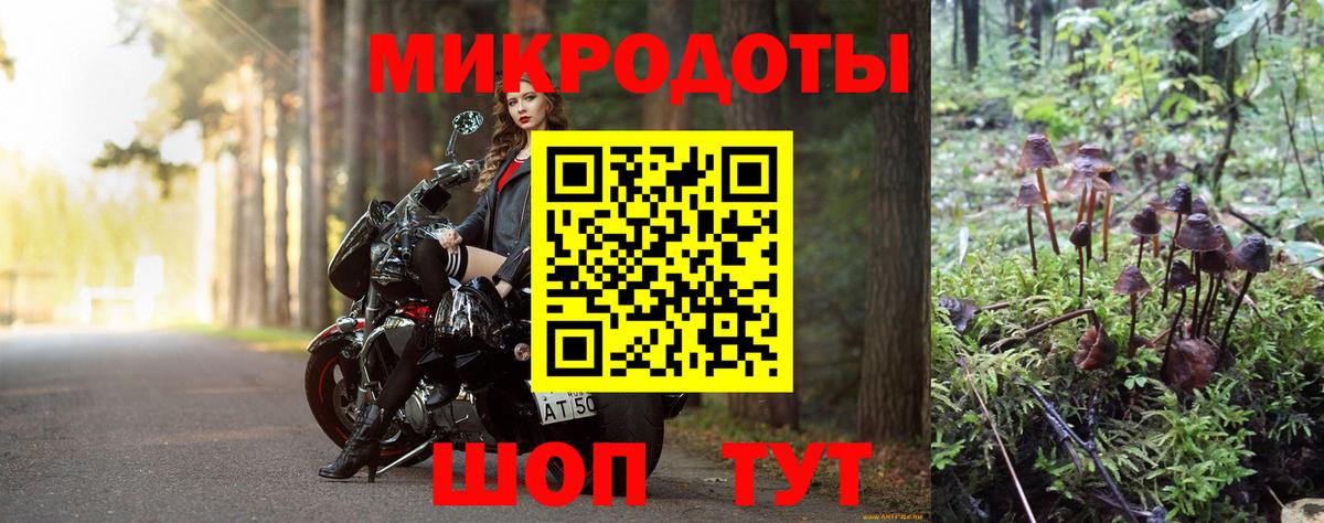Псилоцибиновые грибы MAGIC MUSHROOMS  Вход с VPN  Россошь 